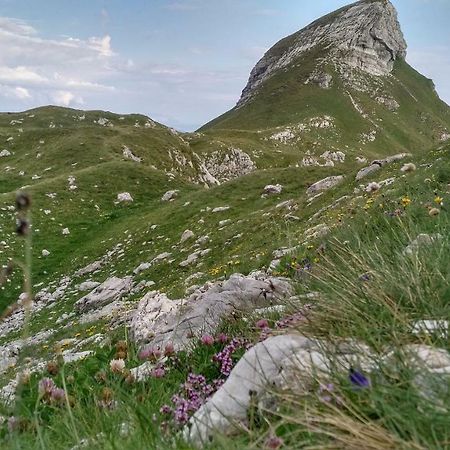 Apartments Durmitor Жабляк Экстерьер фото