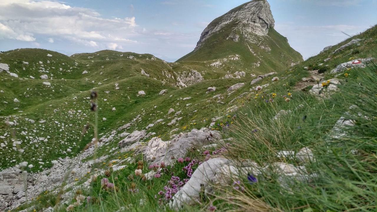 Apartments Durmitor Жабляк Экстерьер фото