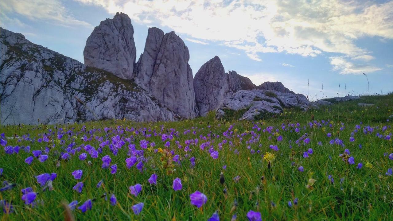 Apartments Durmitor Жабляк Экстерьер фото