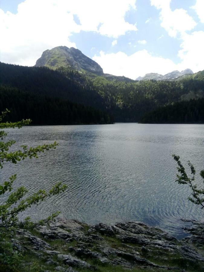 Apartments Durmitor Жабляк Экстерьер фото